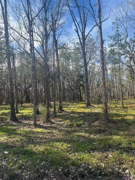 Land for sale in Livingston Parish, Louisiana