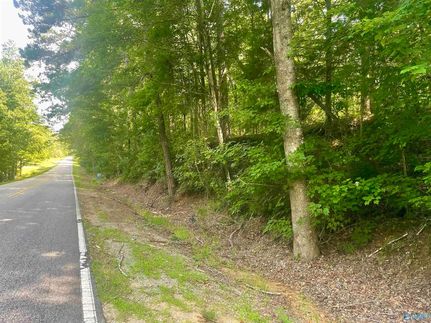 Land for sale in Bibb County, Alabama