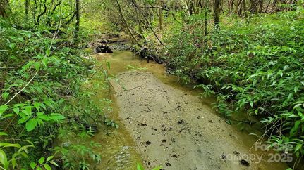 Land for sale in Polk County, North Carolina