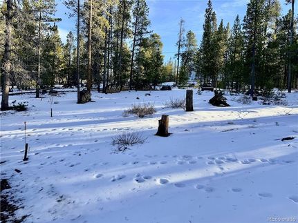 Land for sale in Lake County, Colorado