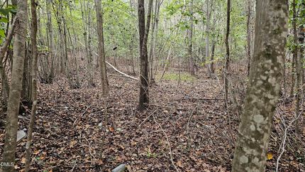 Homesite for sale in Warren County, North Carolina