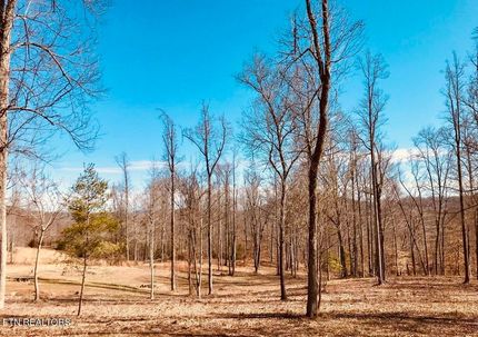 Land for sale in Union County, Tennessee