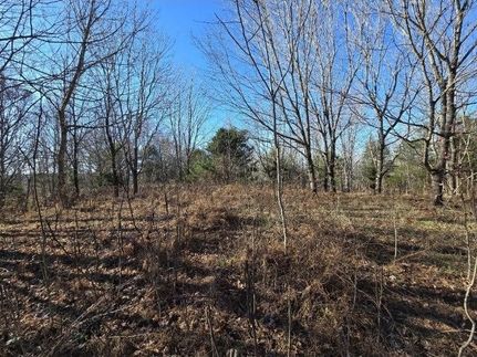 Land for sale in Jackson County, Tennessee