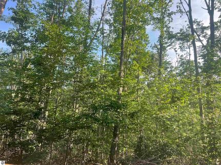 Land for sale in Antrim County, Michigan