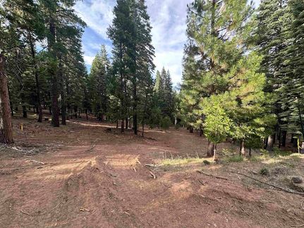 Land for sale in Plumas County, California
