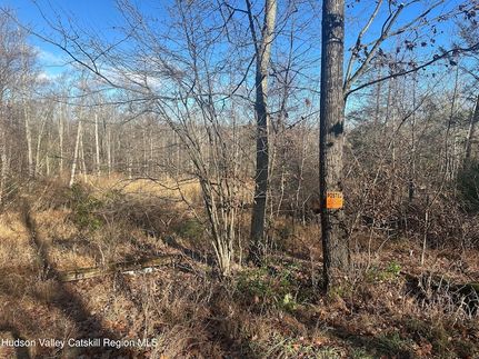 Land for sale in Ulster County, New York