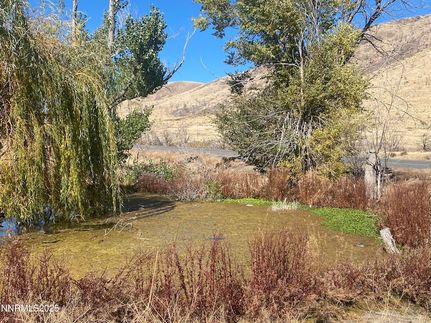 Land for sale in Douglas County, Nevada