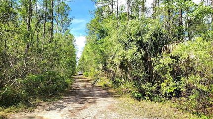 Land for sale in Volusia County, Florida