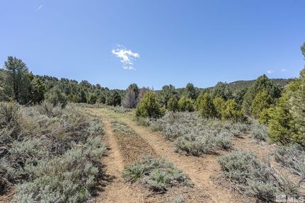 Land for sale in Storey County, Nevada