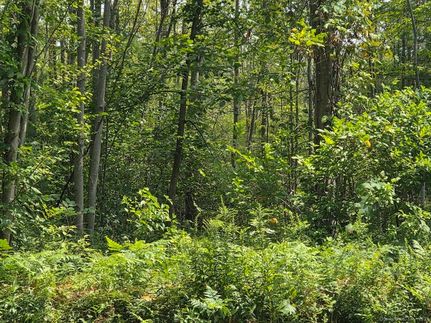 Land for sale in Hartford County, Connecticut