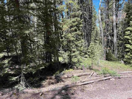 Homesite for sale in Gunnison County, Colorado
