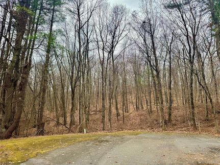 Land for sale in Dutchess County, New York