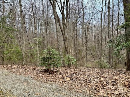 Land for sale in Henderson County, North Carolina
