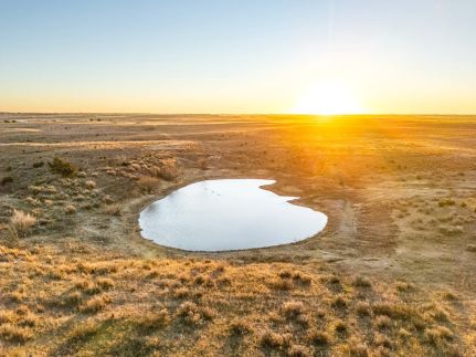 Timberland Property for sale in Woodward County, Oklahoma