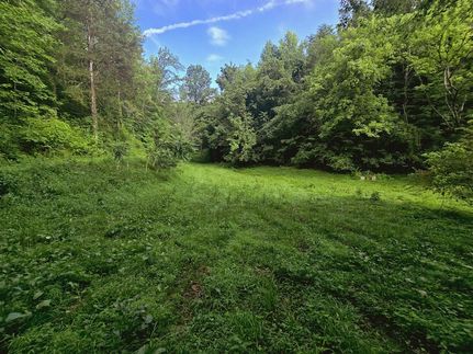Land for sale in Cocke County, Tennessee