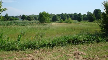 Land for sale in McHenry County, Illinois
