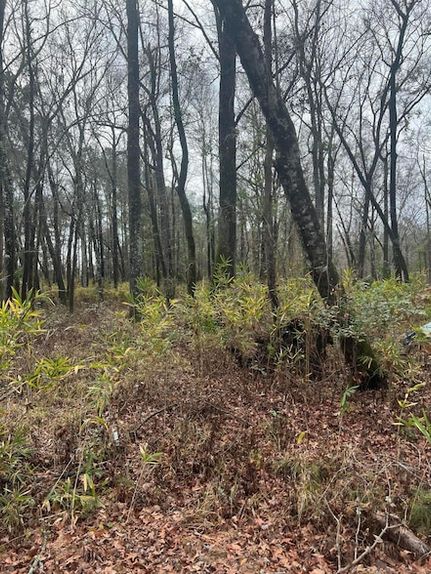 Land for sale in Dorchester County, South Carolina