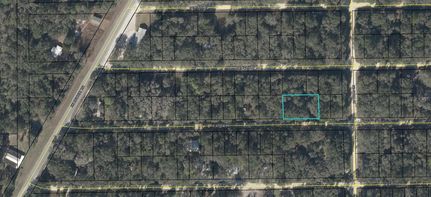 Land for sale in Dixie County, Florida