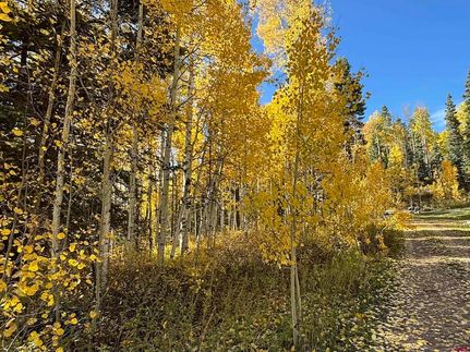 Homesite for sale in La Plata County, Colorado