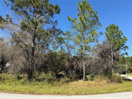 Homesite for sale in Pasco County, Florida