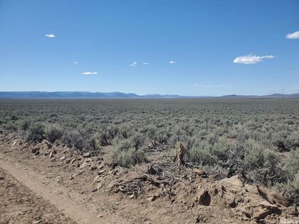 Land for sale in Washoe County, Nevada
