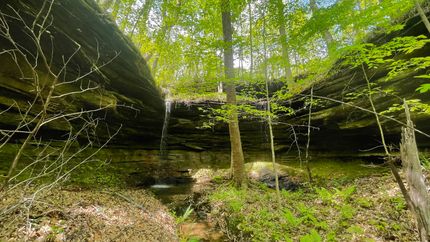 Land for sale in Colbert County, Alabama