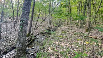 Land for sale in Franklin County, Alabama