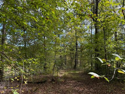 Land for sale in Adair County, Kentucky