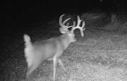 Land for sale in Pulaski County, Illinois