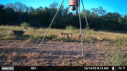 Land for sale in Zapata County, Texas