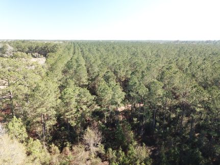 Undeveloped Land for sale in Orange County, Texas