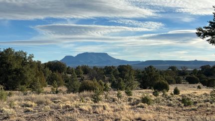 Land for sale in Catron County, New Mexico