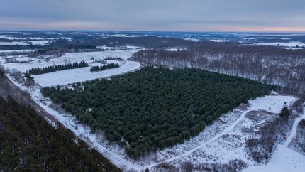 Land for sale in Barron County, Wisconsin