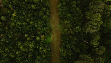 Land for sale in Lincoln Parish, Louisiana