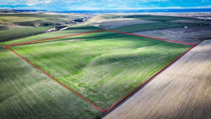 Land for sale in Umatilla County, Oregon