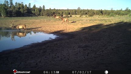 House for sale in Cibola County, New Mexico