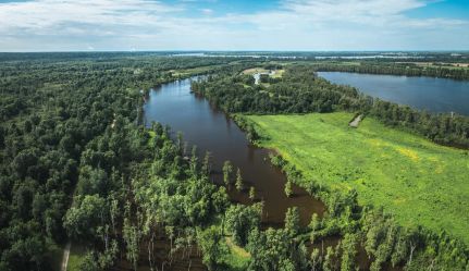 Undeveloped Land for sale in Ballard County, Kentucky