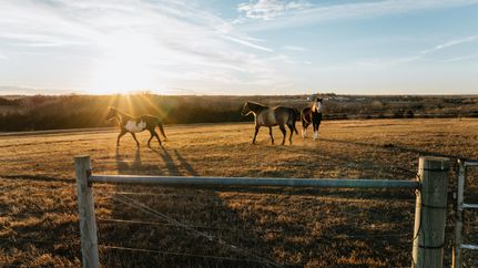 Undeveloped Land for sale in Lancaster County, Nebraska