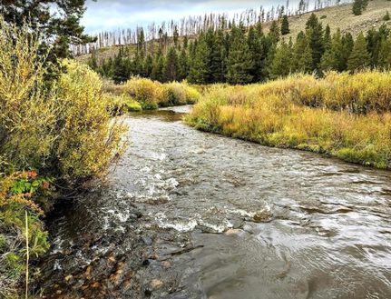 Farm and Ranch for sale in Albany County, Wyoming