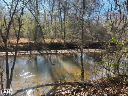 Land for sale in Monroe County, Alabama