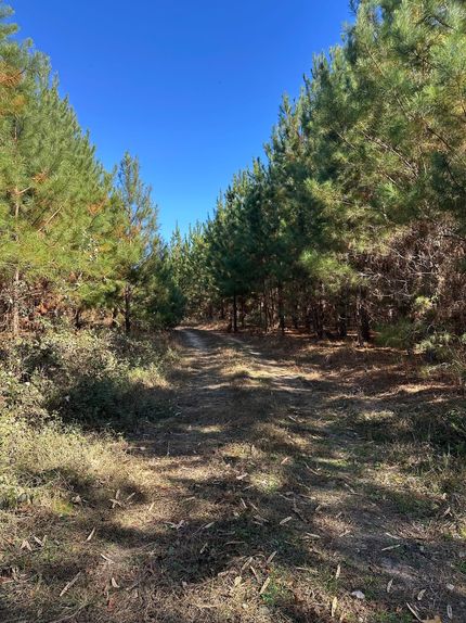 Hunting Property for sale in Dale County, Alabama