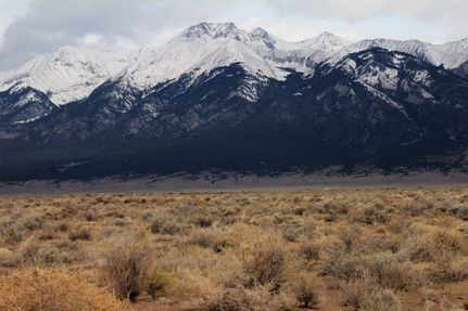 Undeveloped Land for sale in Alamosa County, Colorado