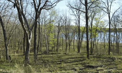 Land for sale in Todd County, Minnesota