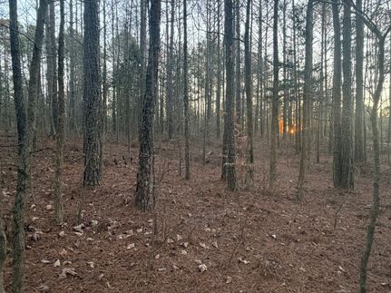 Land for sale in Carroll County, Georgia