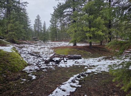 Homesite for sale in Pend Oreille County, Washington