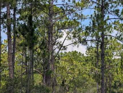Land for sale in Polk County, Florida