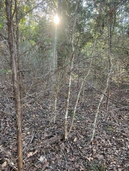 Land for sale in Bastrop County, Texas
