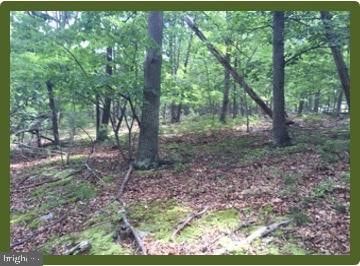 Land for sale in Mineral County, West Virginia