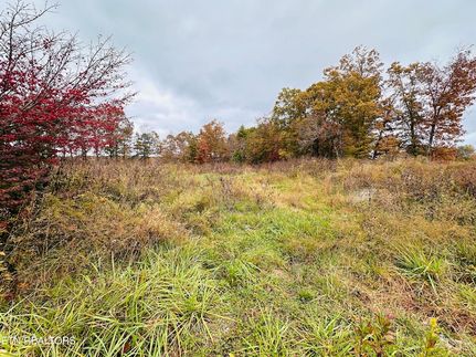 Land for sale in Morgan County, Tennessee