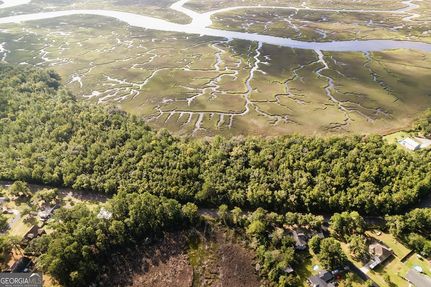 Lakefront Property for sale in Camden County, Georgia